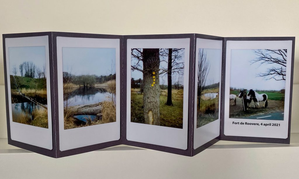5 images printed and displayed on a gray cardboard back drop