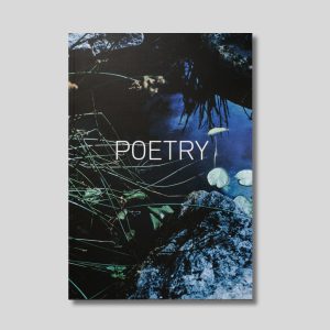 POETRY: A Shutter Hub Editions Publication