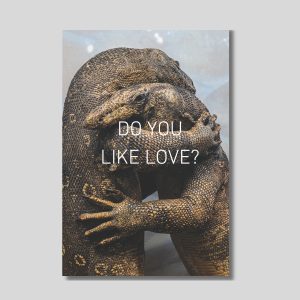 DO YOU LIKE LOVE?: A Shutter Hub Editions Publication