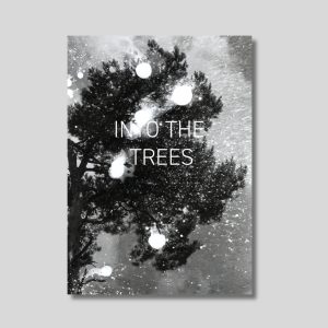 INTO THE TREES by Jo Stapleton